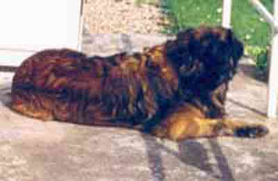 Socrate fte ses 9 ans