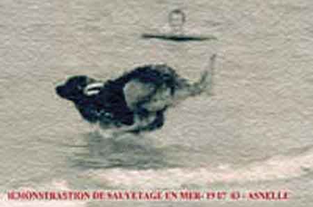 Leonberg en sauvetage aquatique. Dmonstration en mer de Robin des Neiges de Chantelouve