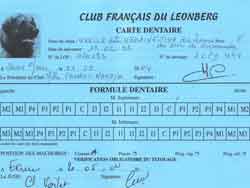 Carte dentaire complète