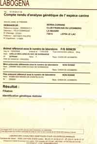 Identification génétique