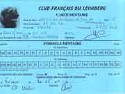 Carte dentaire complète