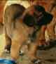Notre Leonberg, Uppeline des Lions du Duc de Normandie